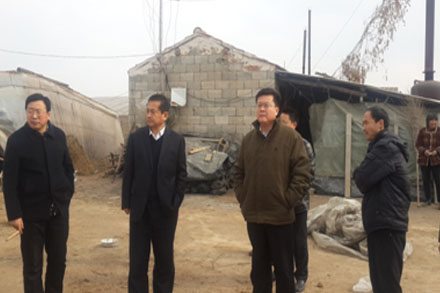 201501151421311138109 hjc888黄金城·(中国集团)官方网站
