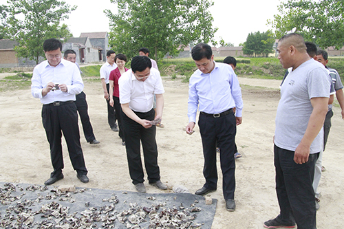 201505221432279075419 hjc888黄金城·(中国集团)官方网站